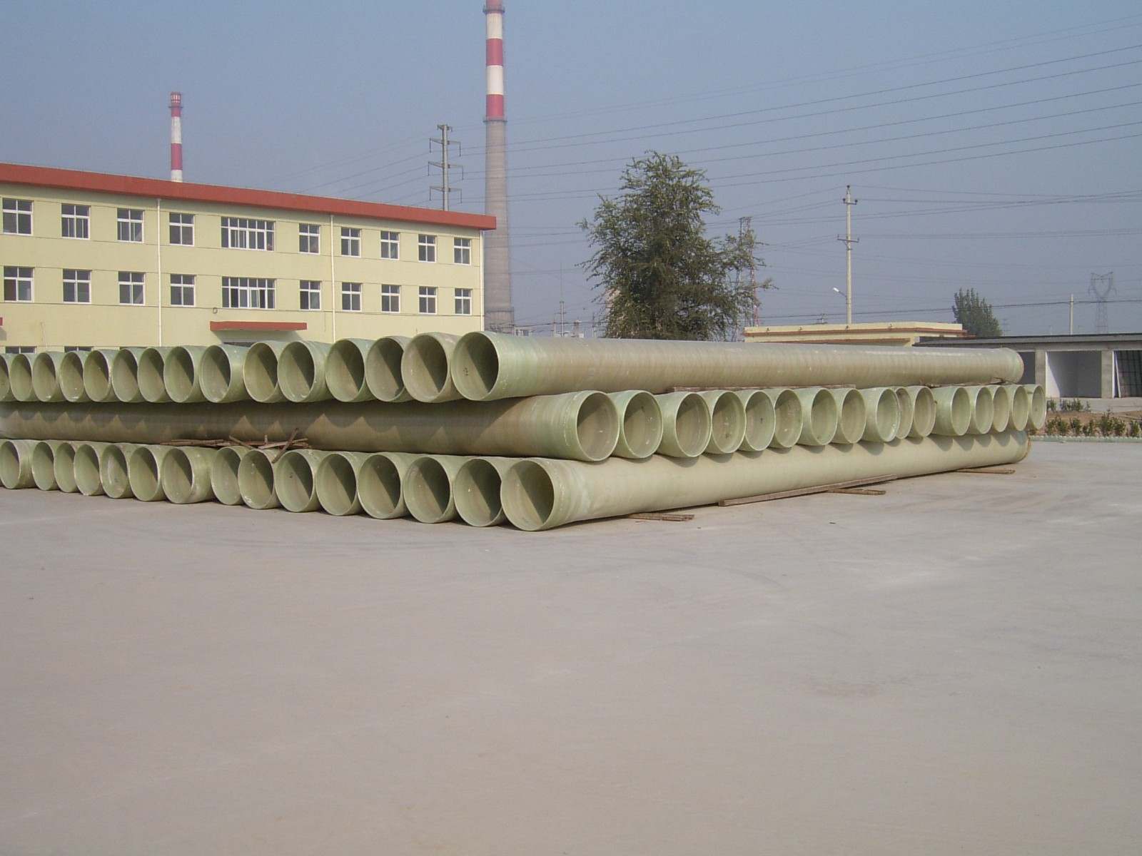 SUC40088.JPG